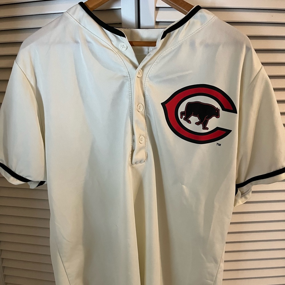 Vintage Chicago Bears Jersey size: L